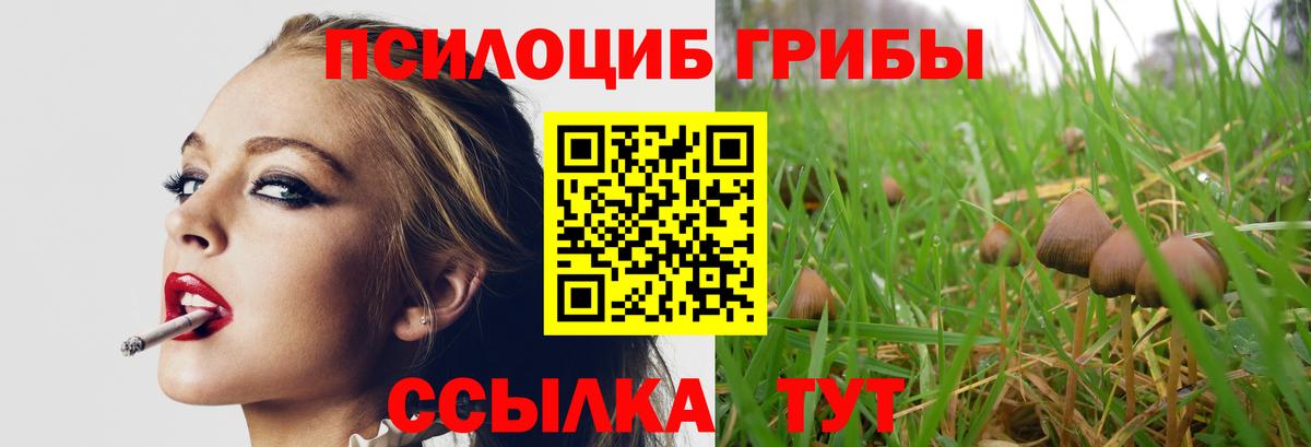 Заринск  Галлюциногенные грибы Psilocybine cubensis  Вход с VPN 